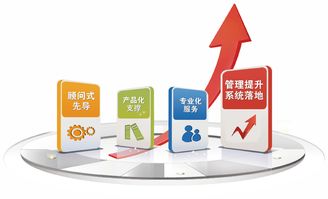 2019金慧軟件老客戶業務培訓周如火如荼地開展，助力信息咨詢服務升級